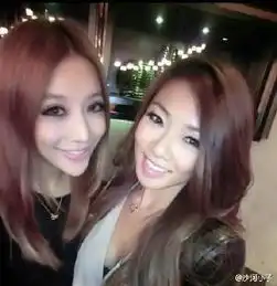 开扒郑恺白富美女友身世显赫身材辣