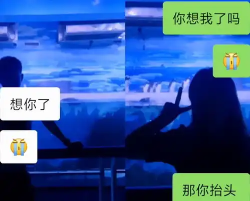 辽宁一情侣约定各自回家,女友进站后男生偷偷买同趟车票送惊喜