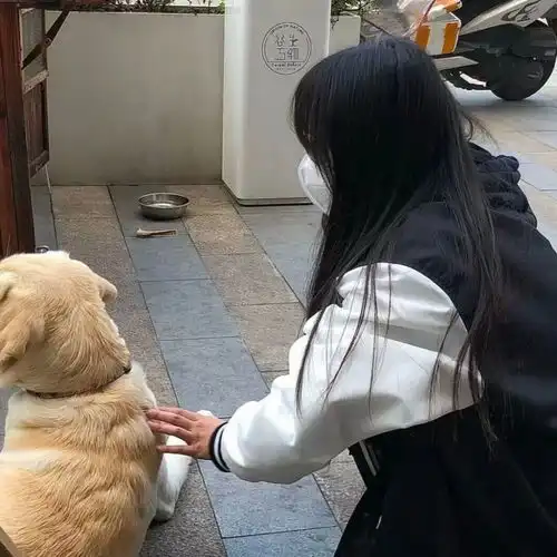 精选优质温柔小众好看的女生头像76