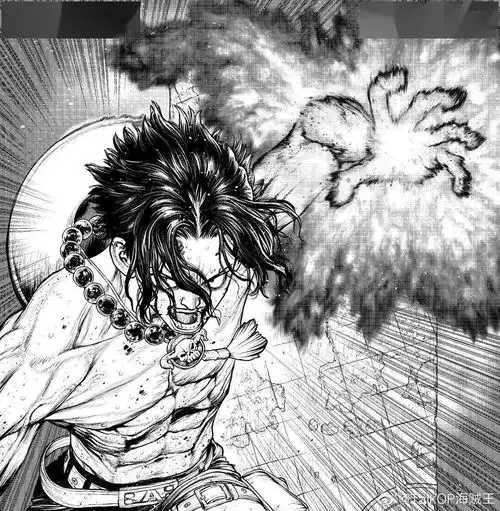 海贼王杂志第11期情报女帝路飞梦之一枚艾斯漫画怪物图鉴佩罗娜小说等