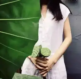 她用3500元,把胡同里的平房改造成真正的北平花园