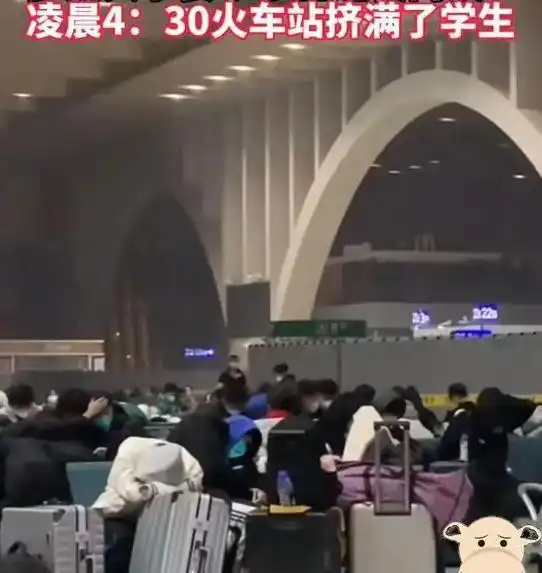 当霸总文学照进现实,清华开设返乡专线,哈工大为大学生包机