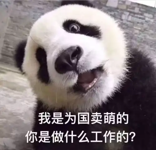 姓屎,怎么给孩子起名急,在线等