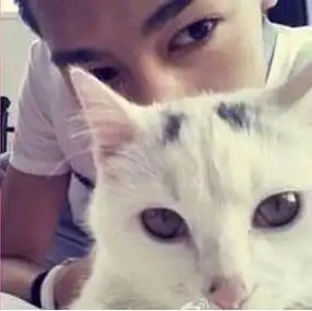 求抱着猫咪的男生和女生情侣头像