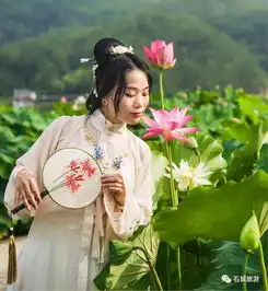 石城莲乡花绽放,美女荷花相映红