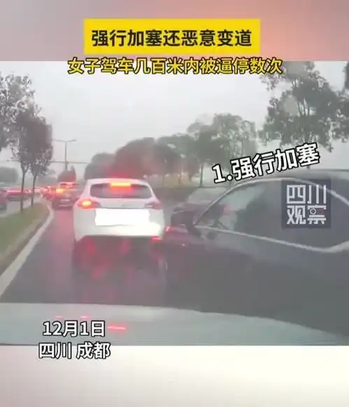 强行加塞还恶意变道女子驾车百米内被逼停数次