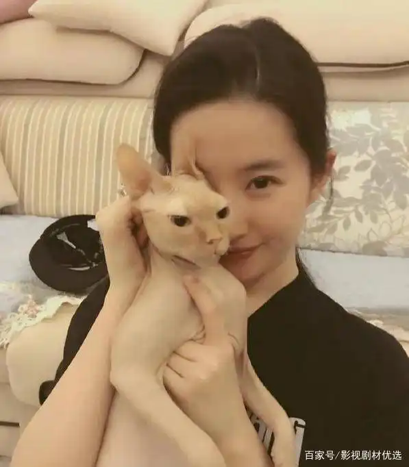 被金庸称赞,凭花木兰征服全球观众,刘亦菲的成长之路并不简单