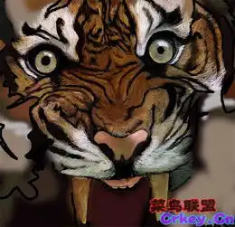 哪里有老虎图片