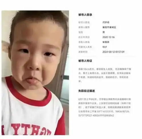 河南3岁男童探亲后走失11天,多方回应正在山里全力寻找