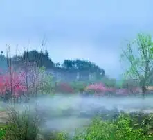 黄页88高清图片