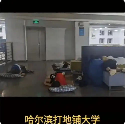 哈工大学生扎堆打地铺睡觉,网友觉得好,大学生就应该吃点苦