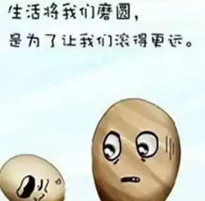 2022年的新词都出来了,太经典了