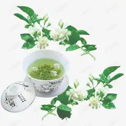 茉莉茶饮素材图片免费下载高清png千库网图片编号8214355