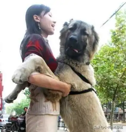 我才30岁,就过上了无性婚姻,该怎么办