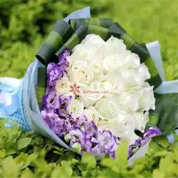 你是我最惦记的人25枝白色玫瑰