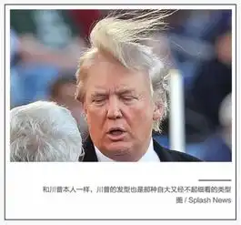 娇诗泉长生姜据说这个谢顶流苏是脱发男人的挚爱