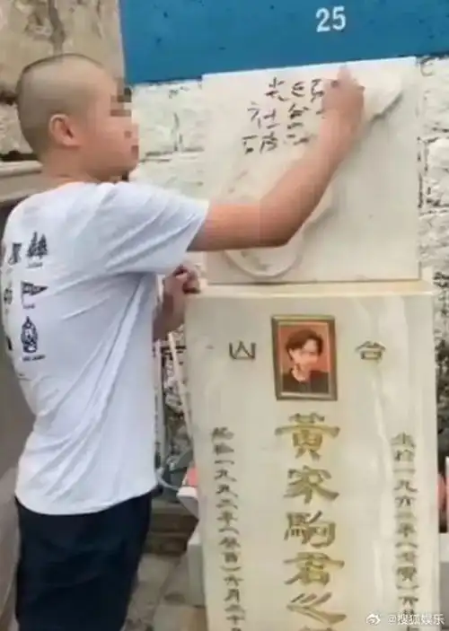 今日份的瓜破坏黄家驹墓碑者被判刑,黄子韬双人头像