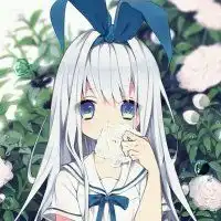 求女生手拿一朵玫瑰的头像越多越好