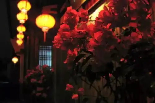 中秋节,献给我的亲人和朋友