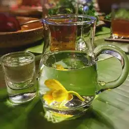 热带雨林深处邂逅最浪漫最有个性的全透明酒店
