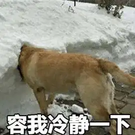小升初取消考试,为什么还是高兴不起来