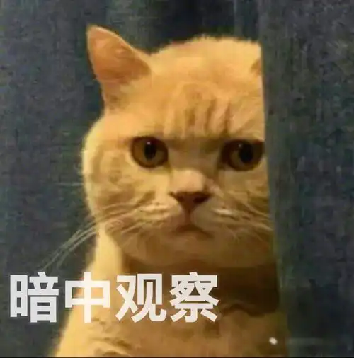 所以说金牛座男生喜欢你的表现是什么样的