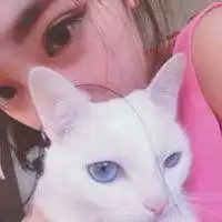 两个人抱猫的情侣头像微信头像图片大全