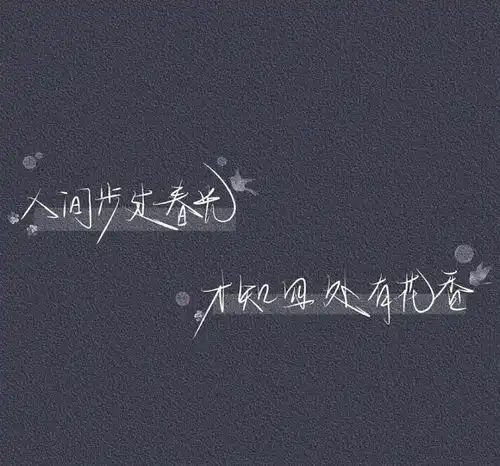名片壁纸那个美女,就是本人